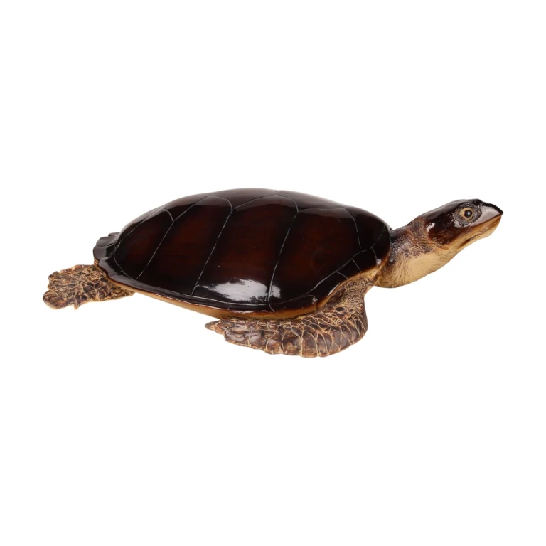 Schildkrötenfigur – braun – 88 x 23 cm