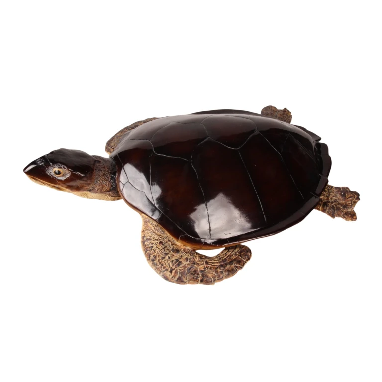 Schildkrötenfigur – braun – 88 x 23 cm