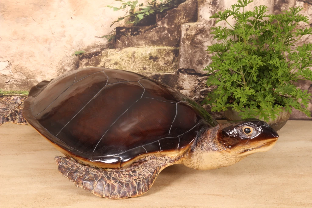 Schildkrötenfigur – braun – 88 x 23 cm